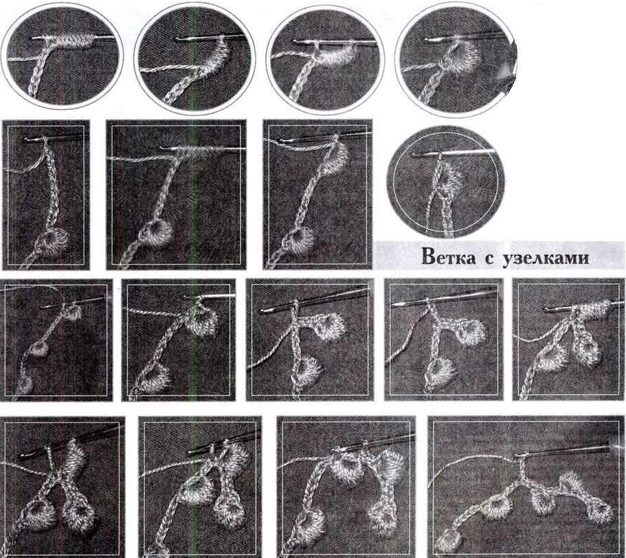 веточка с узелками